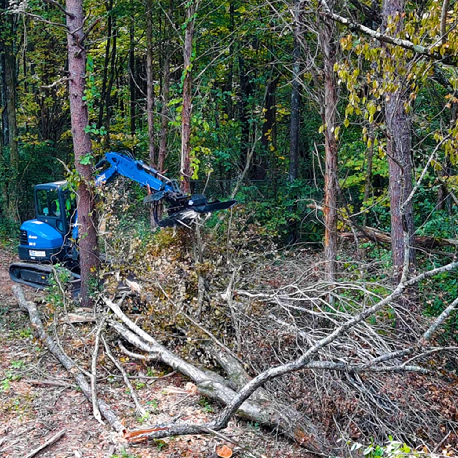 Brushcutter - Rental