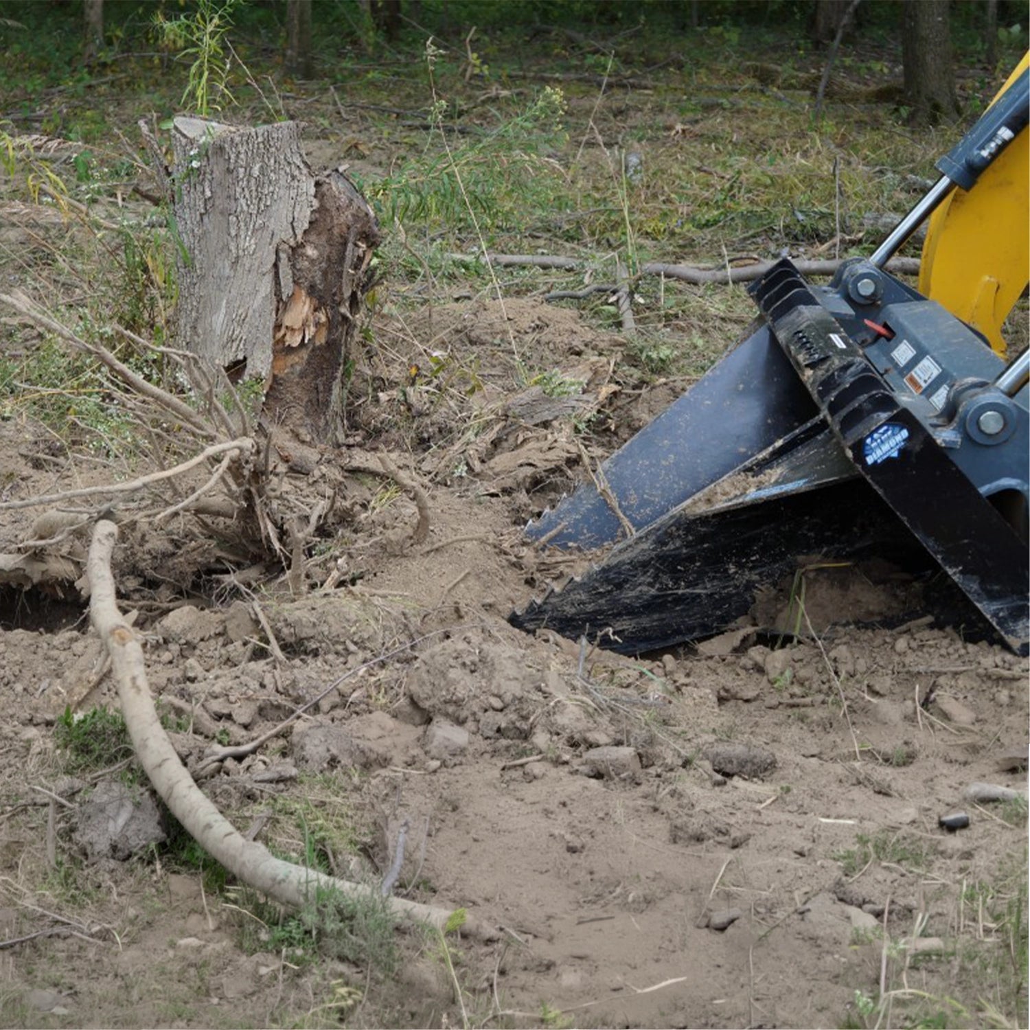 Stump Bucket | Blue Diamond