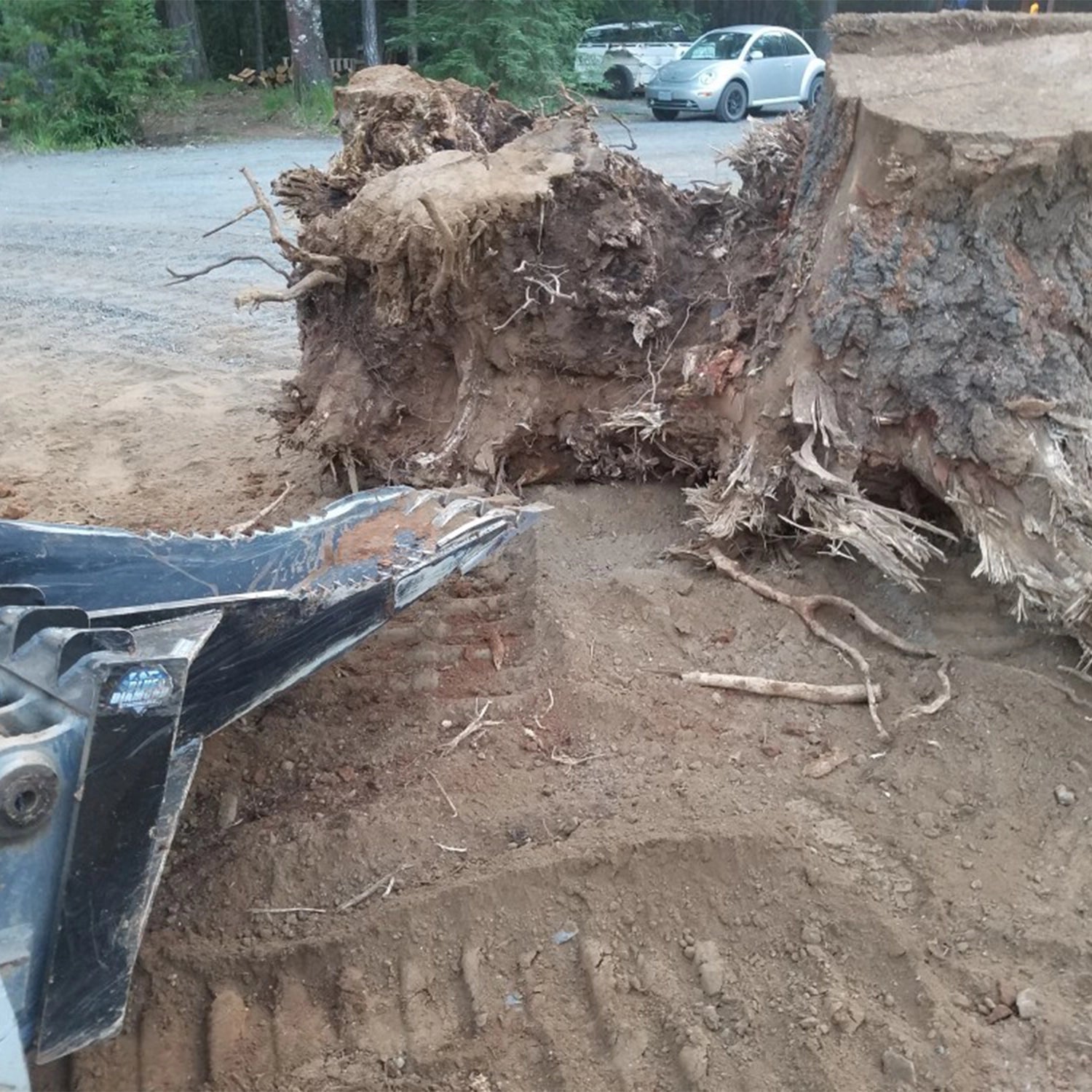 Stump Bucket | Blue Diamond