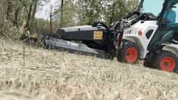 Brushcat - Mini | Bobcat