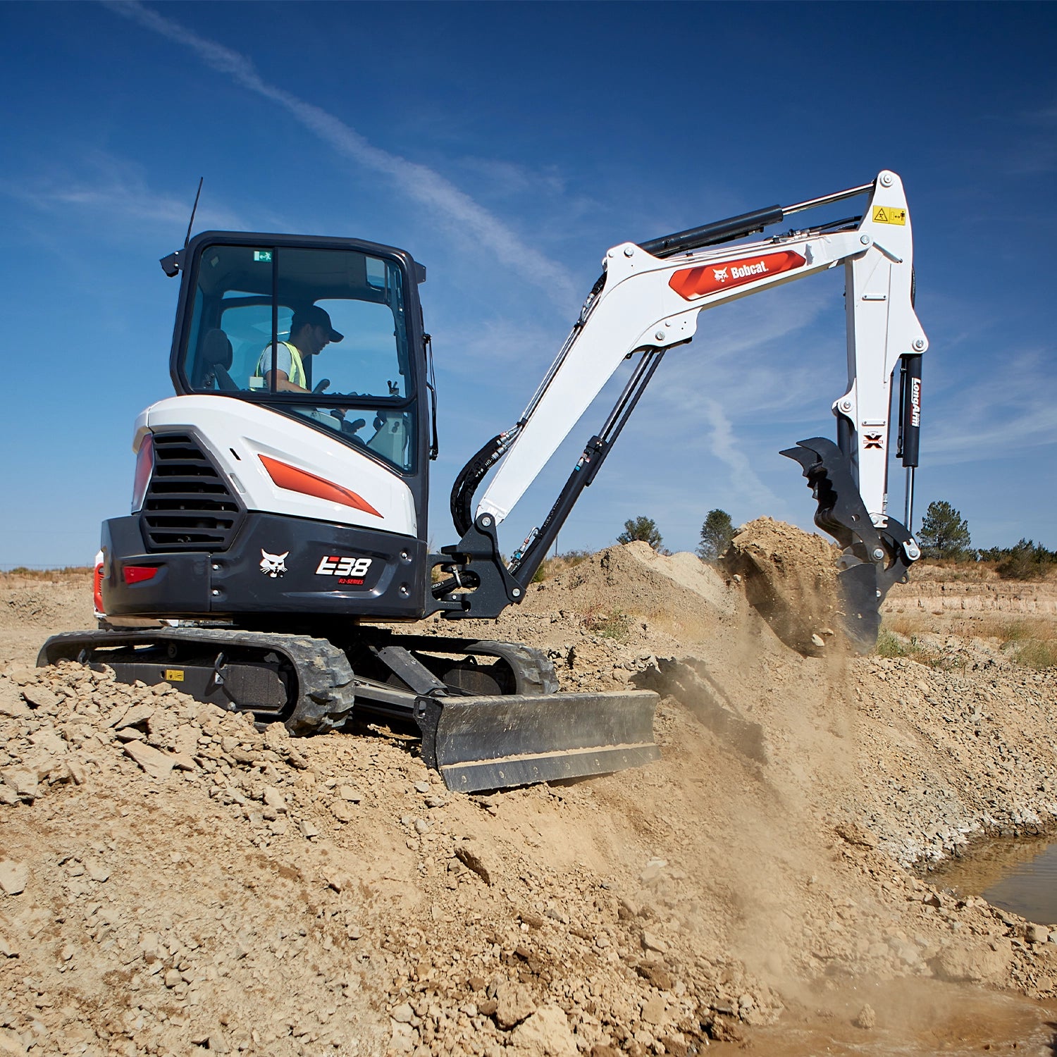 E38 | Bobcat