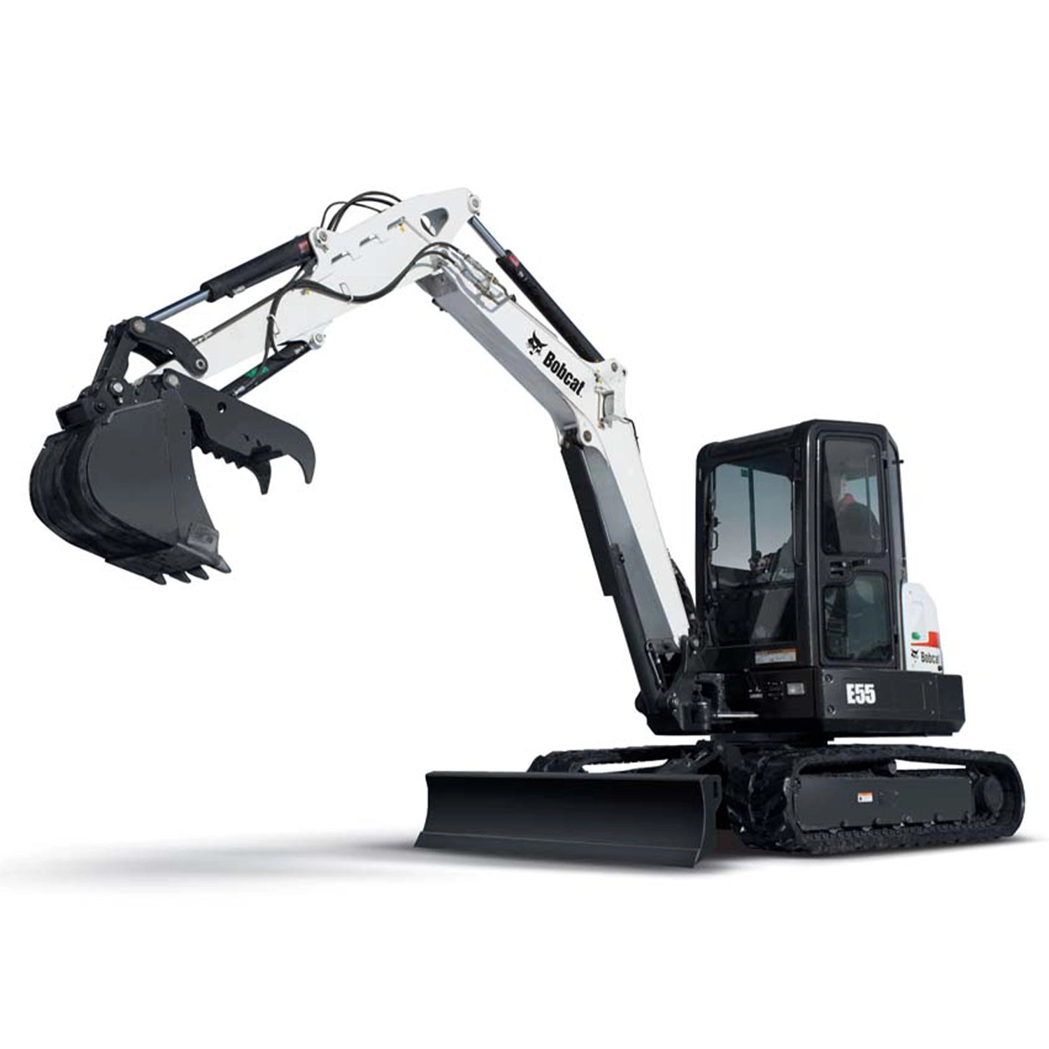 E55  | Bobcat