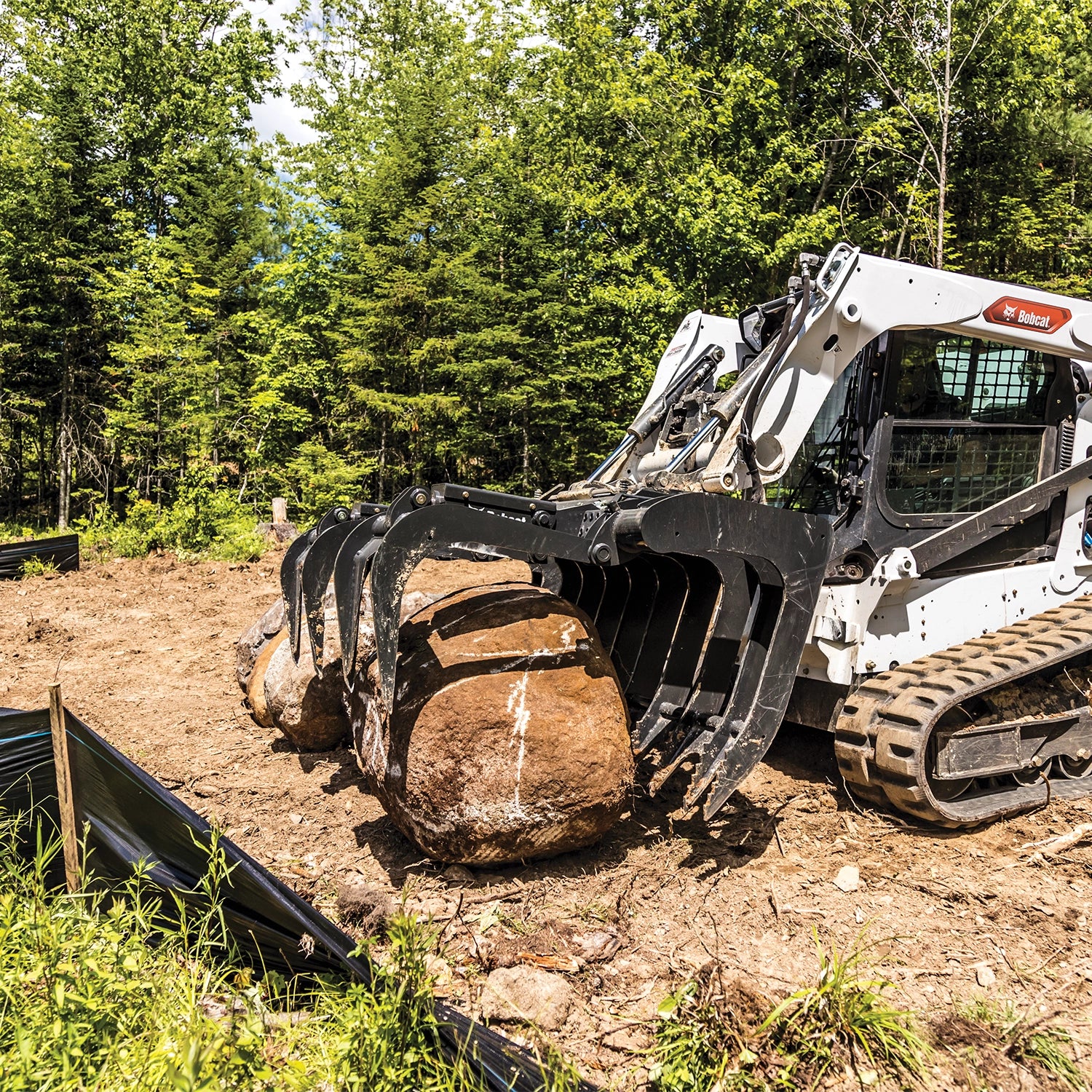 Grapple - Root | Bobcat