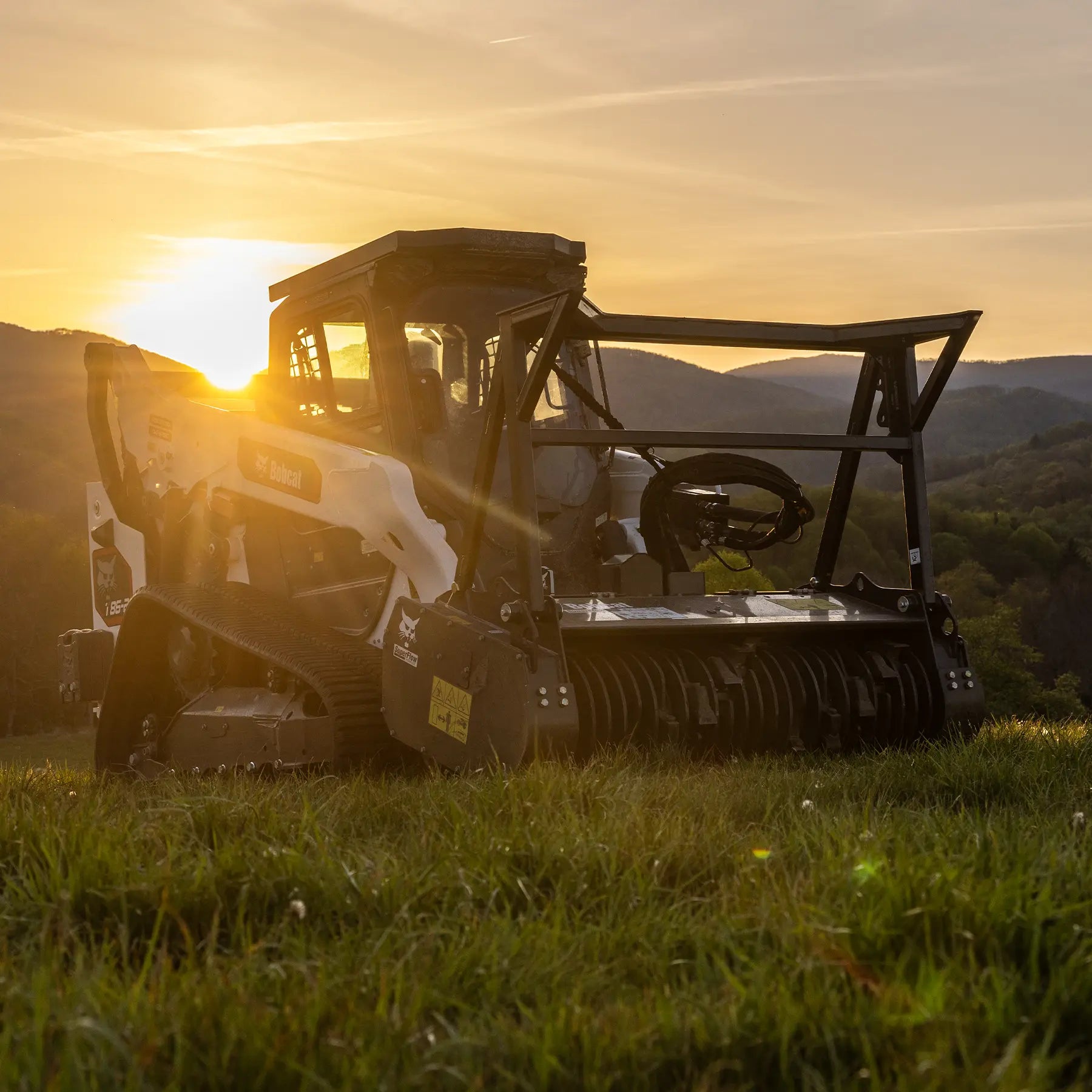 T86-2 | Bobcat