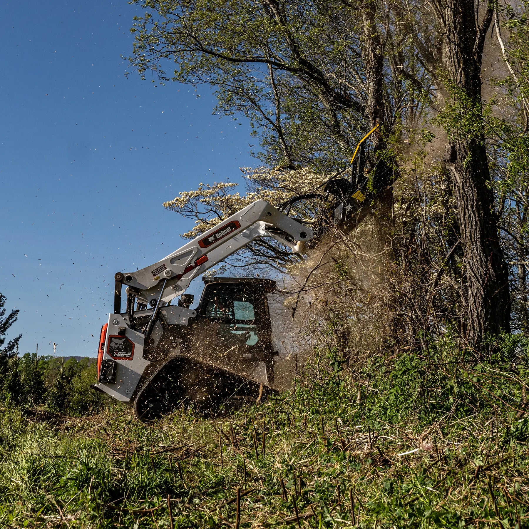 T86-2 | Bobcat