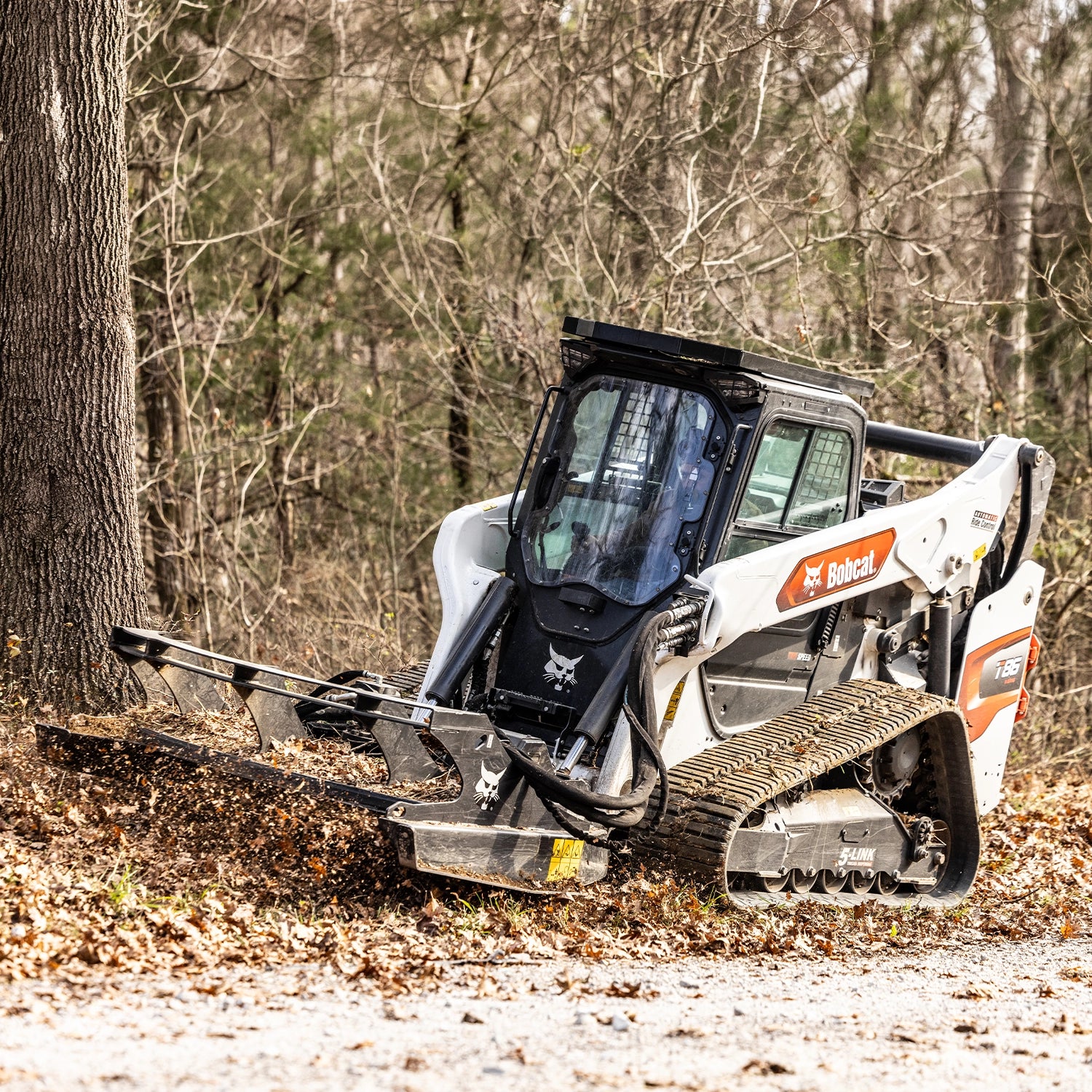 T86 | Bobcat
