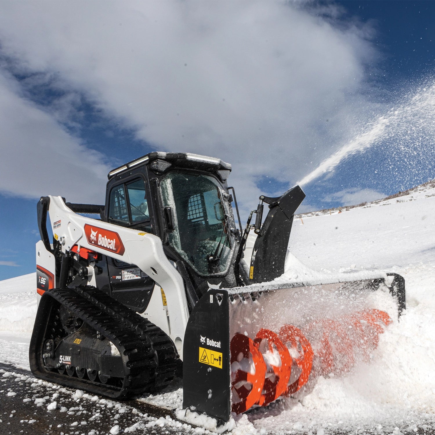 T86 | Bobcat
