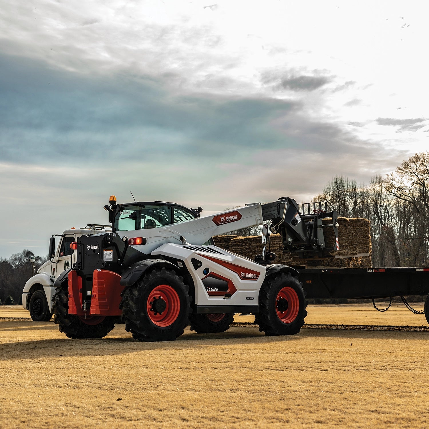 TL923 | Bobcat