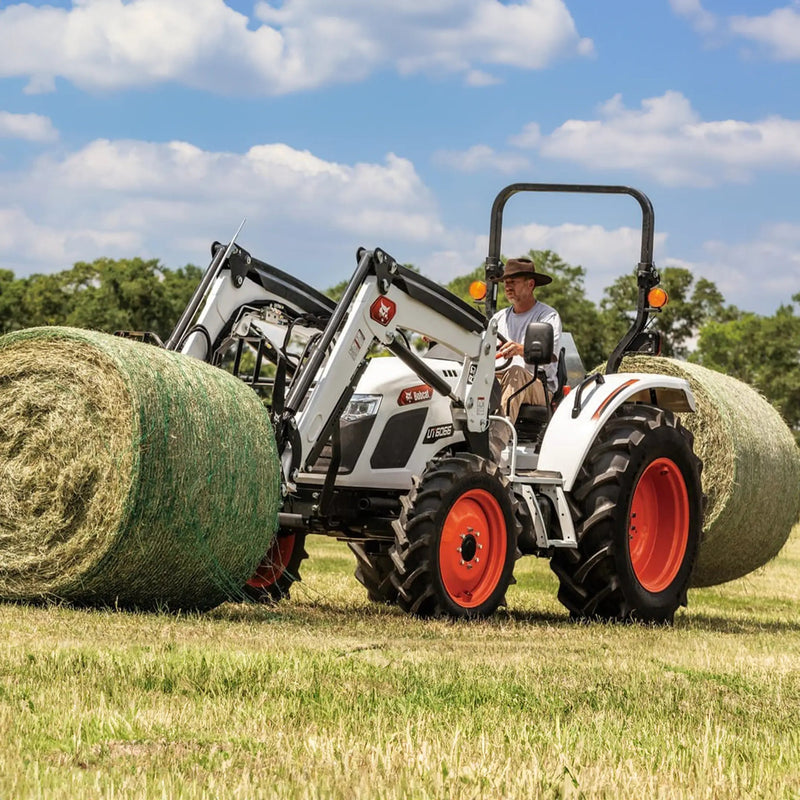 UT6066 | Bobcat