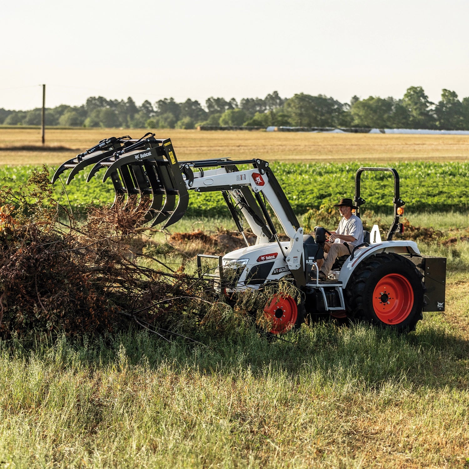 UT6066 | Bobcat