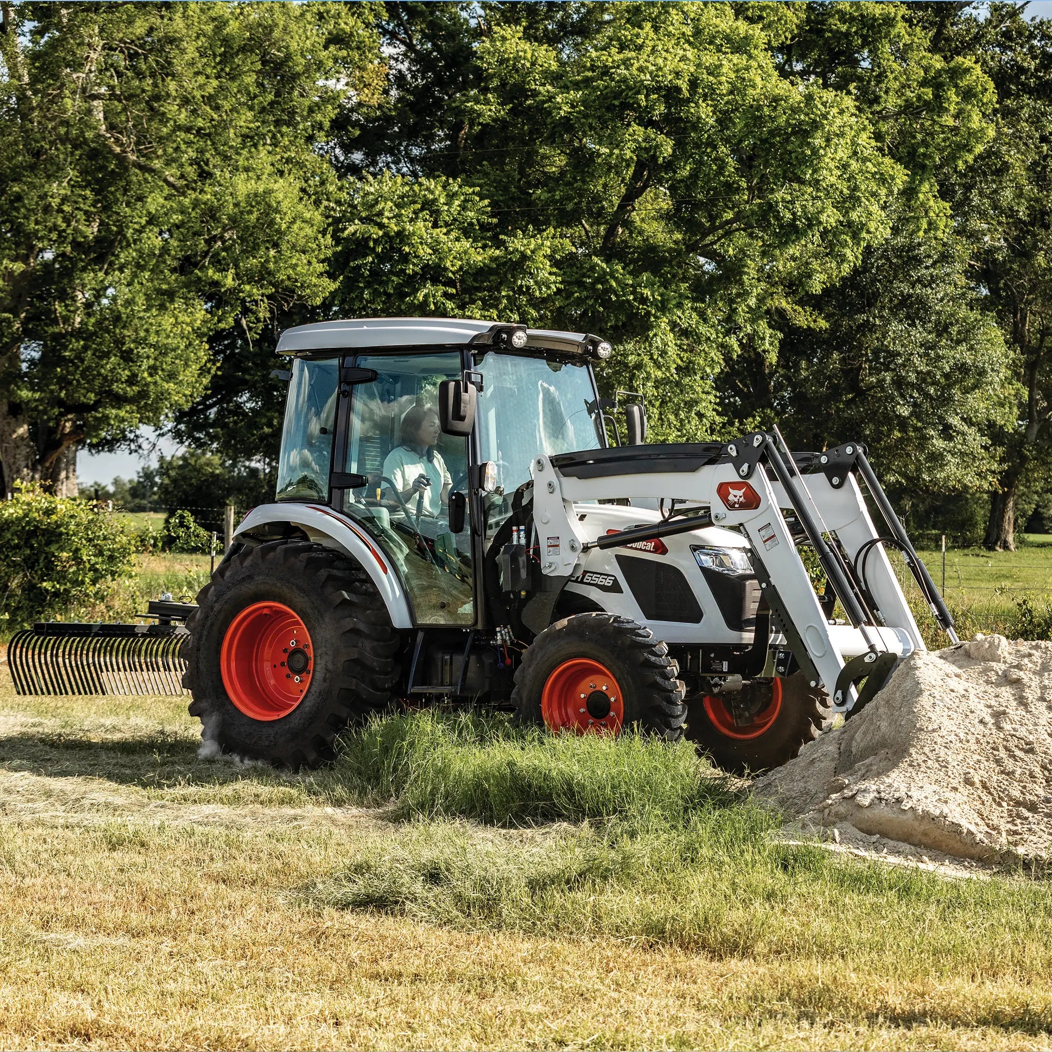 UT6566 | Bobcat