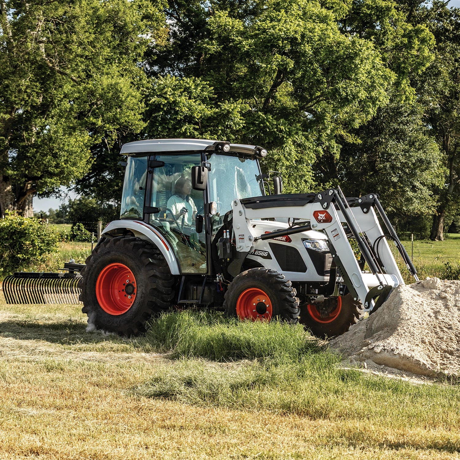 UT6566 | Bobcat