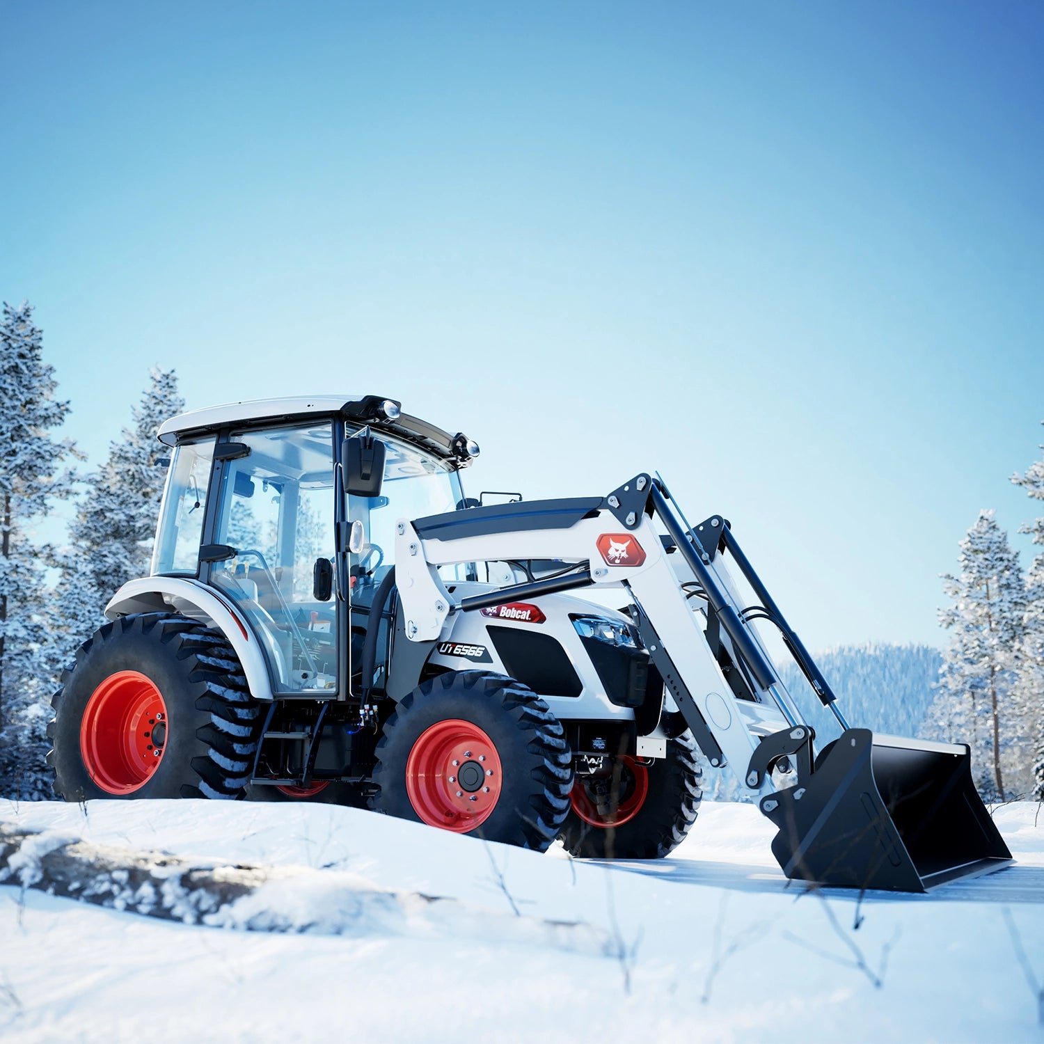 UT6566 | Bobcat