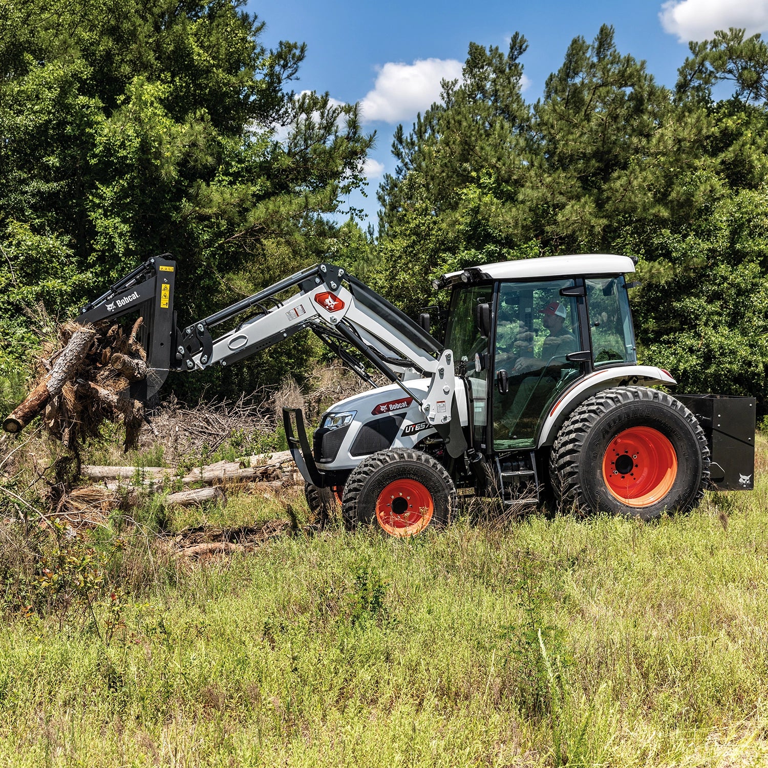 UT6573 | Bobcat