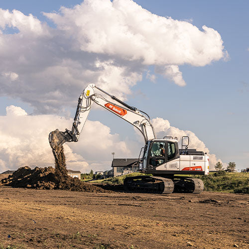 E165 | Bobcat