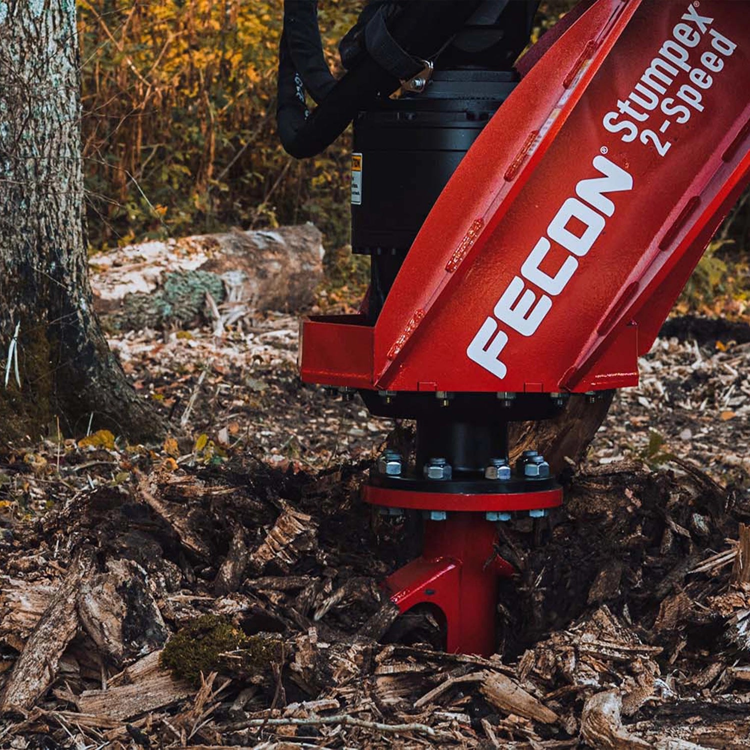 Stumpex | Fecon