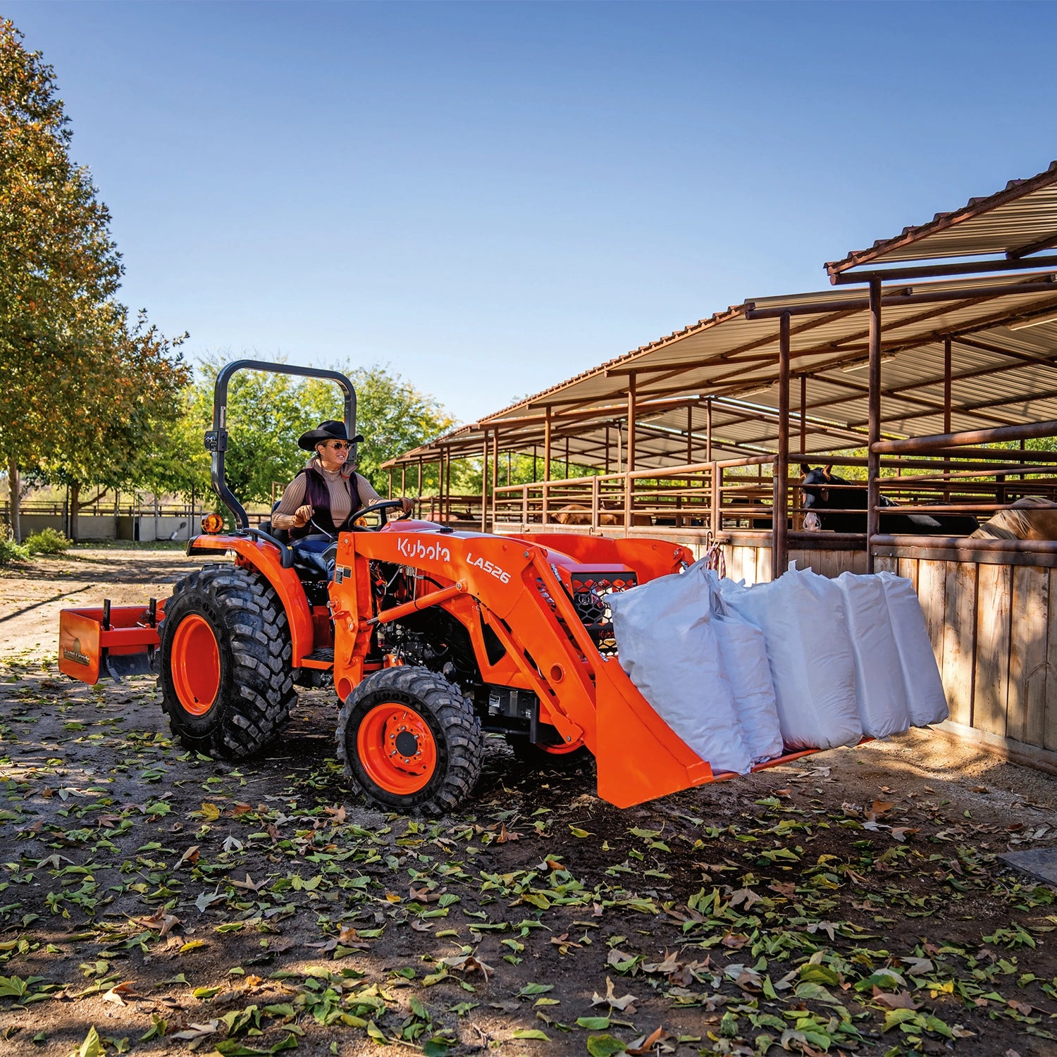 L3902 | Kubota