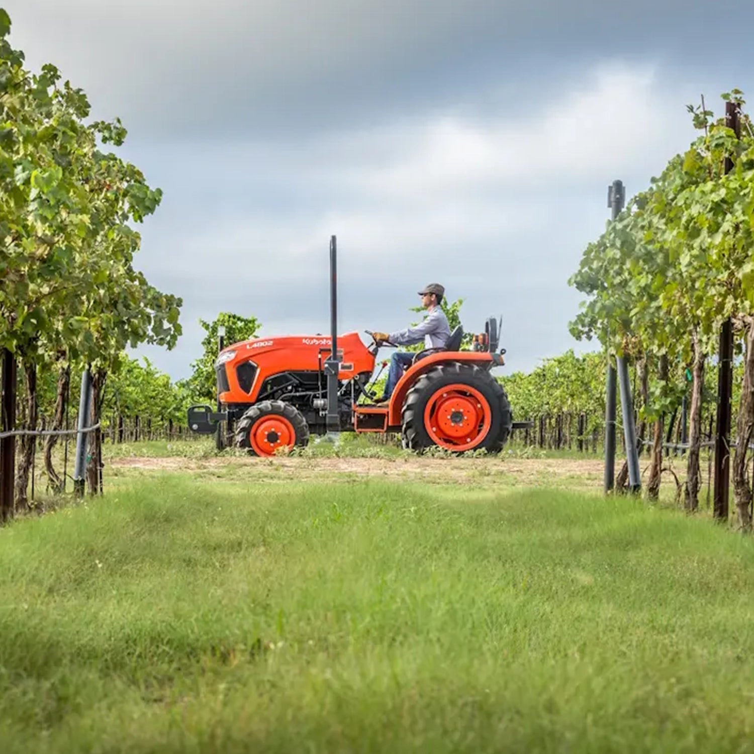 LX4802 Narrow | Kubota