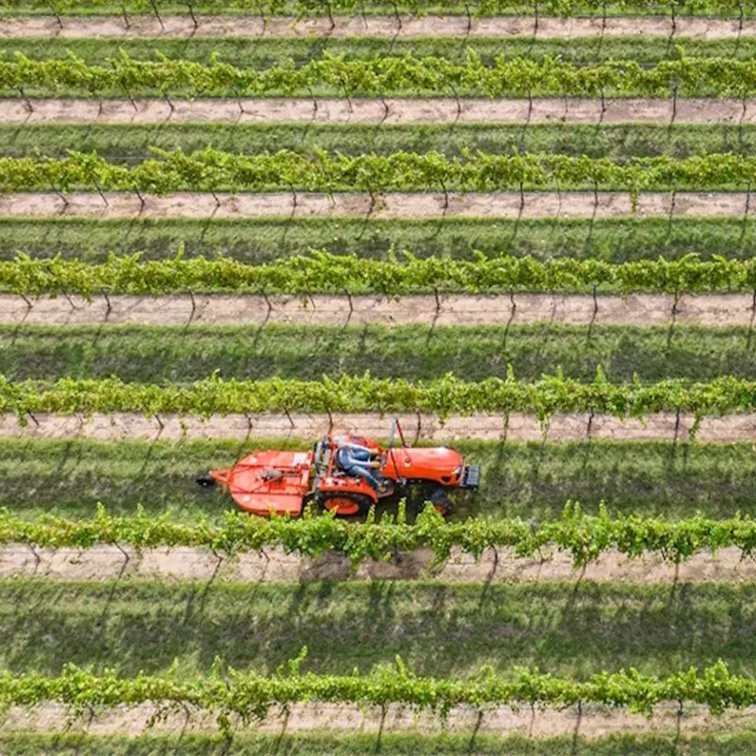 LX4802 Narrow | Kubota