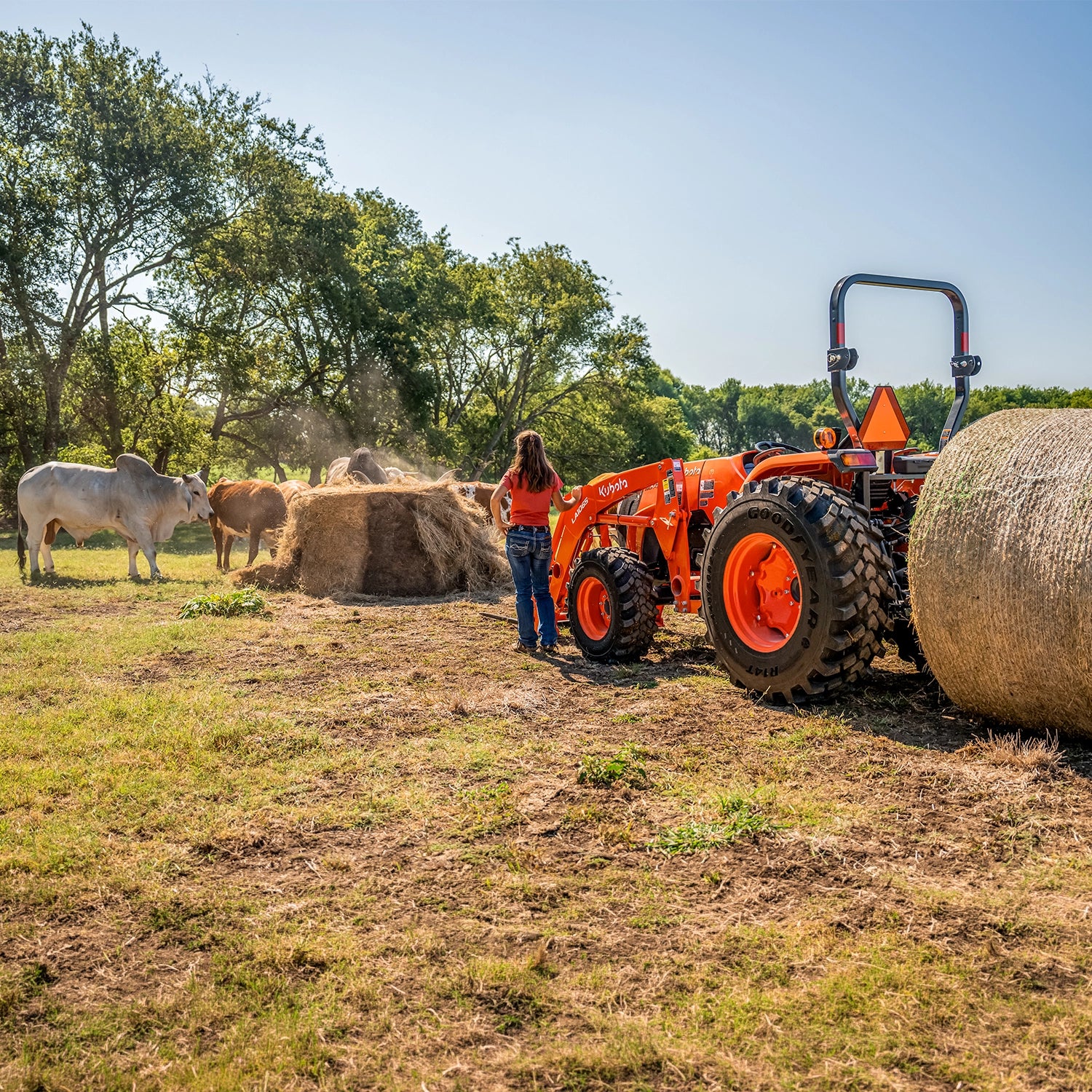 MX4900 | Kubota