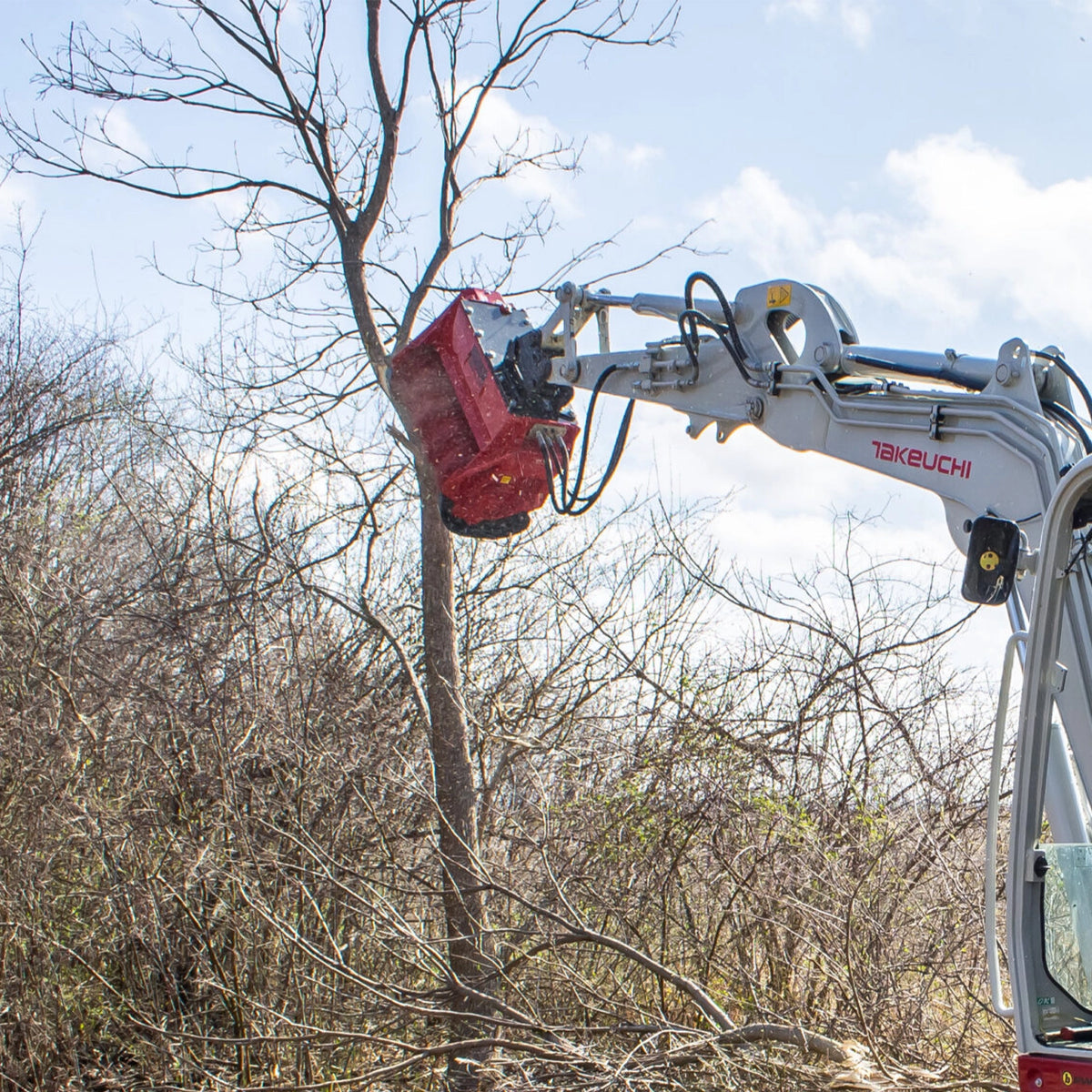 ProGrade Forestry Mulcher | Mongo