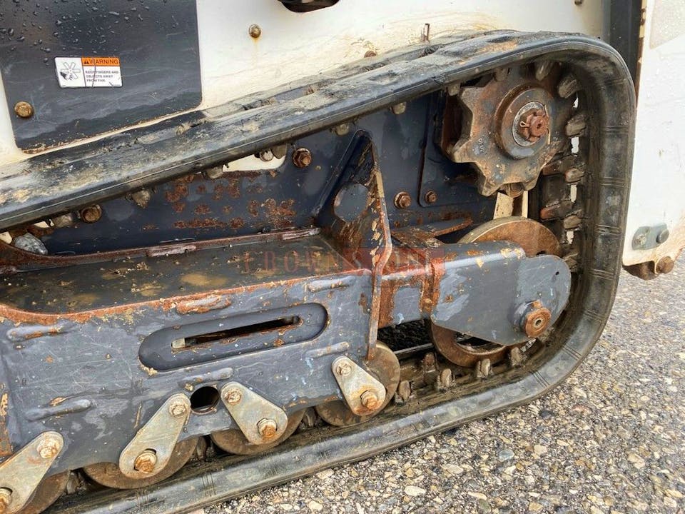 MT55 | Bobcat - Stock Image 14