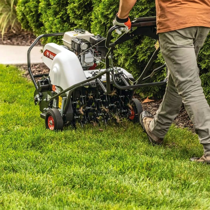 AE19 | Bobcat - Stock Image 5