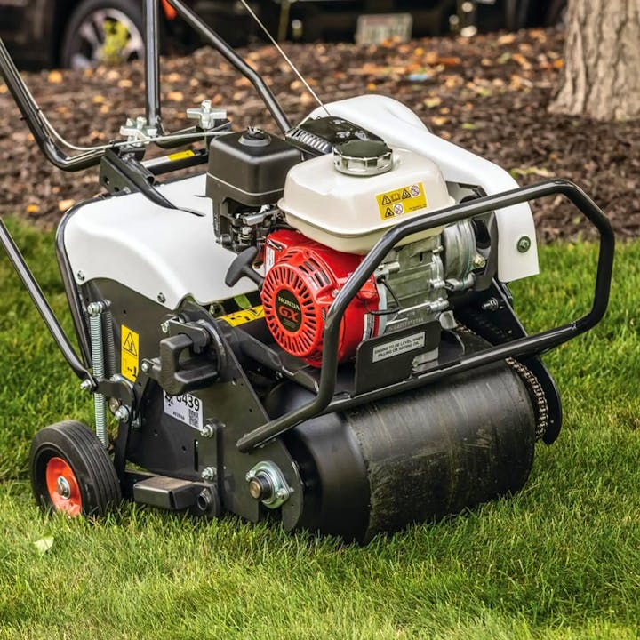 AE19 | Bobcat - Stock Image 3