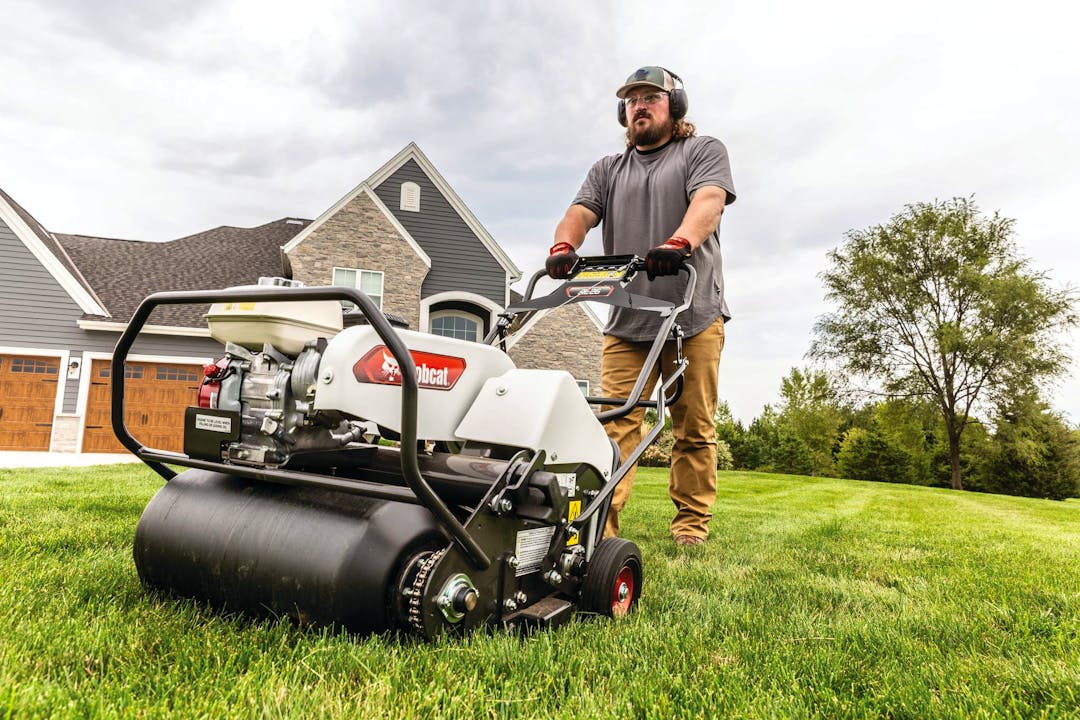 AE19 | Bobcat - Stock Image 6