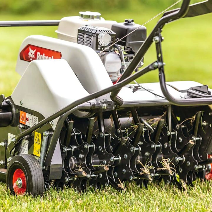 AE26 | Bobcat - Stock Image 3