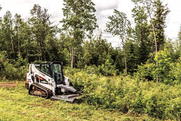 Brushcat | Bobcat